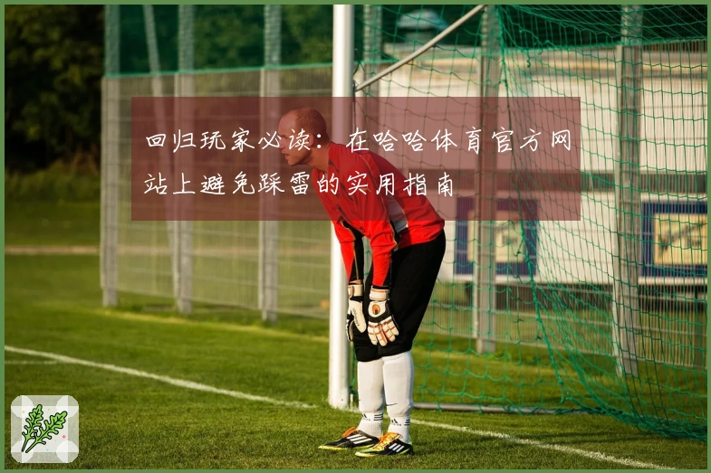 回归玩家必读：在哈哈体育官方网站上避免踩雷的实用指南